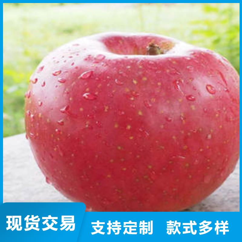 紅富士蘋果蘋果批發廠誠信經營