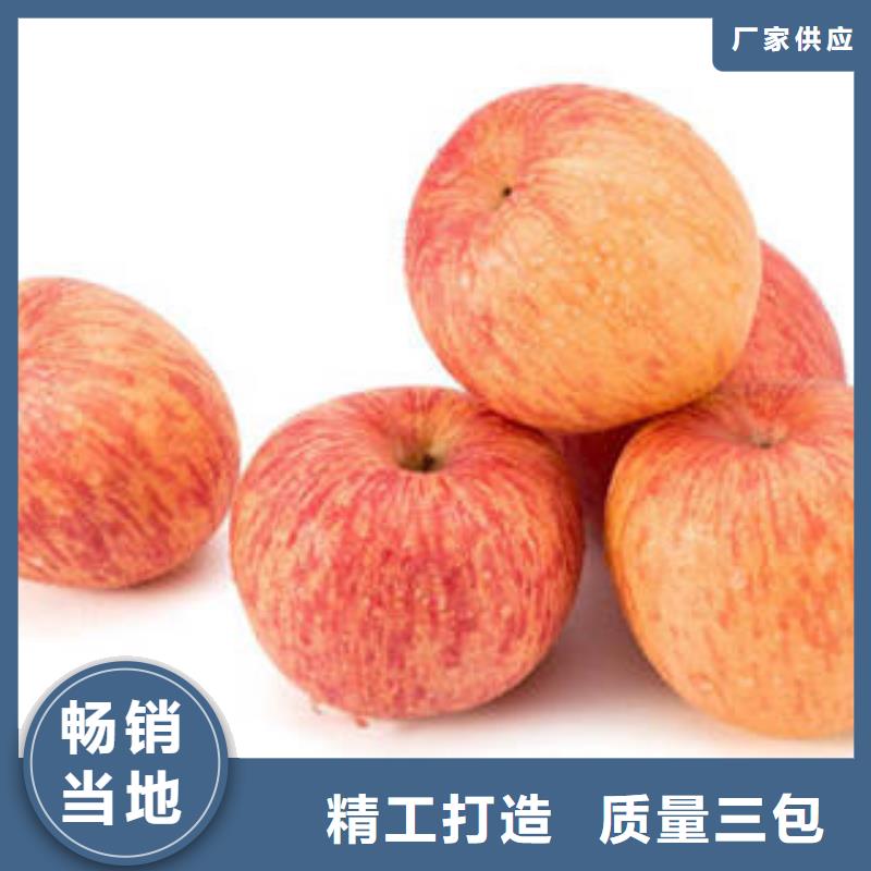 紅富士蘋果,【蘋果種植基地】工藝成熟