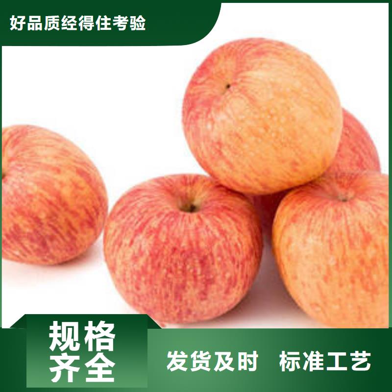 苹果批发视频-苹果批发-景才农产品专业社(长治市分公司)服务区域黎城|潞城|运城|太原|晋城|忻州|朔州|临汾|阳泉