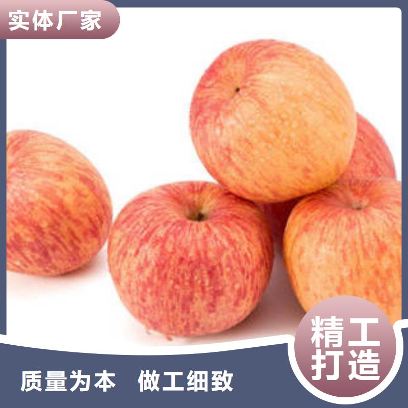 紅富士蘋果蘋果種植基地品質值得信賴