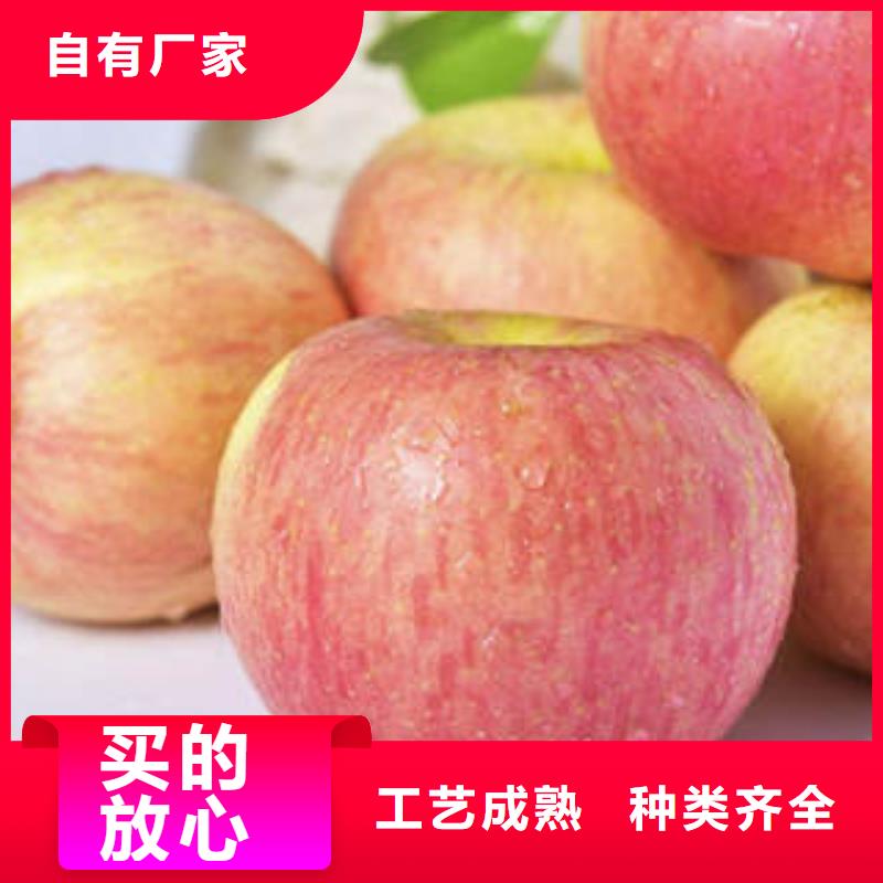 紅富士蘋果紅富士蘋果產(chǎn)地質(zhì)量無憂