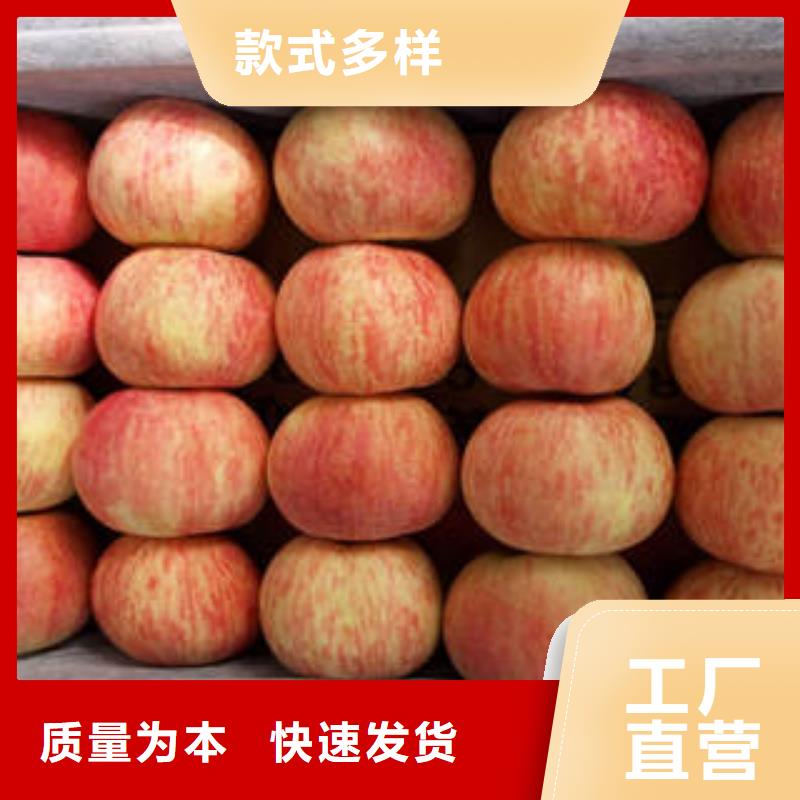 【紅富士蘋果嘎啦蘋果現貨滿足大量采購】