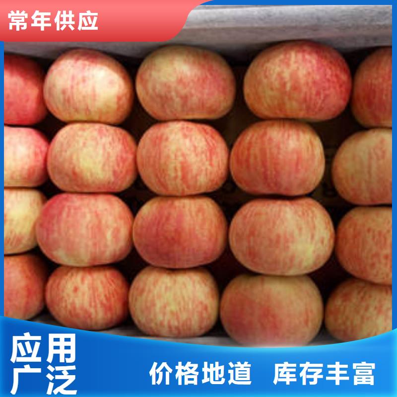 紅富士蘋果_蘋果種植基地專業按需定制