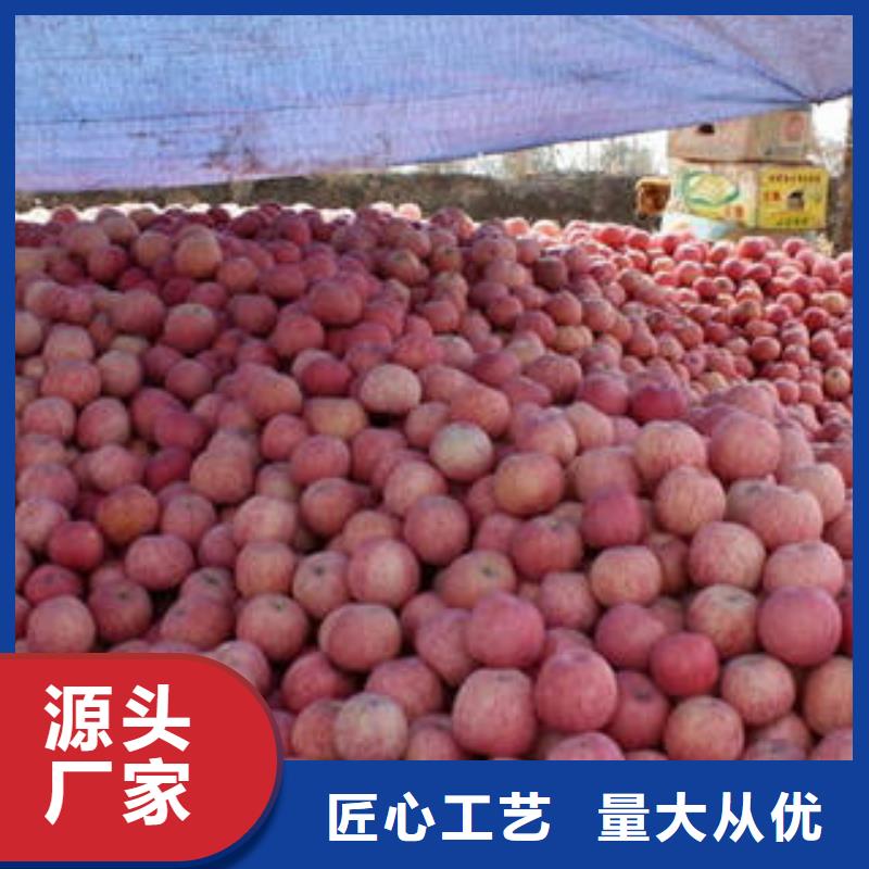 紅富士蘋果_【嘎啦果】品質優選