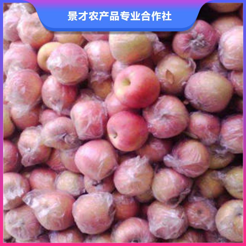 紅富士蘋果快捷物流