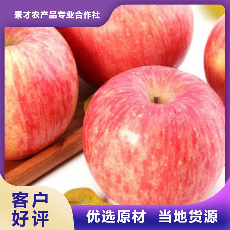 紅富士蘋果-紅富士蘋果產地專業設計