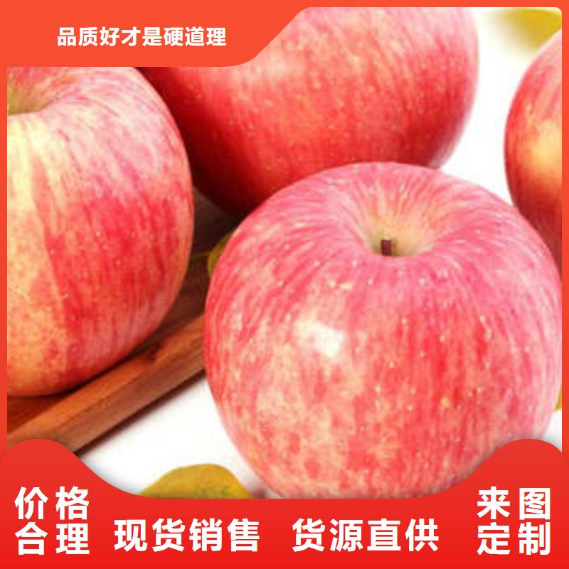 紅富士蘋果-蘋果高質量高信譽