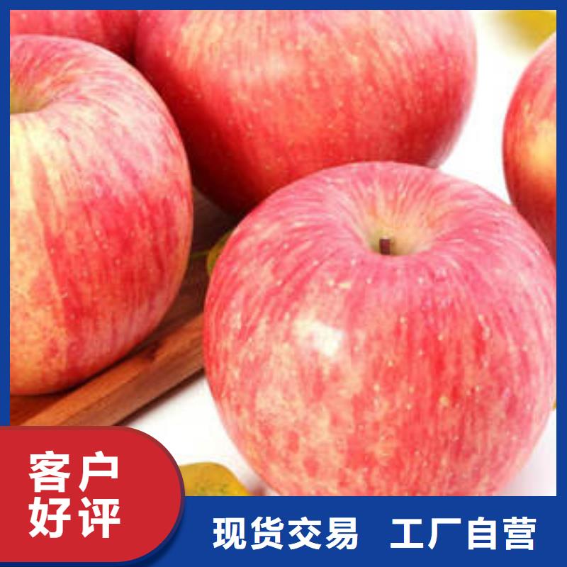 苹果批发视频-苹果批发-四川省巴中市南江|平昌|自贡|广元|雅安|内江|资阳|乐山(周边)公司
