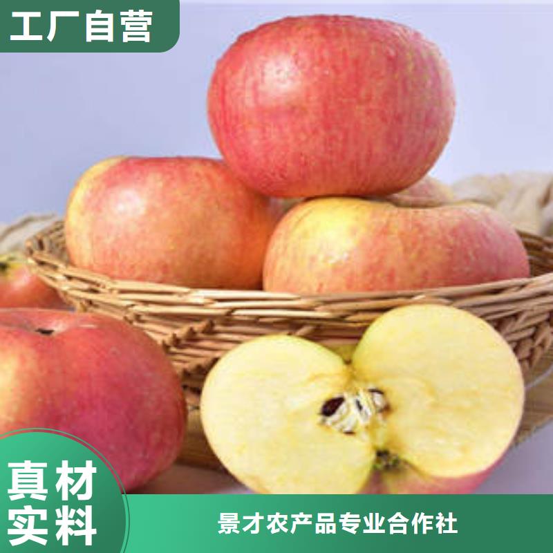 紅富士蘋果,蘋果種植基地產(chǎn)地源頭好貨