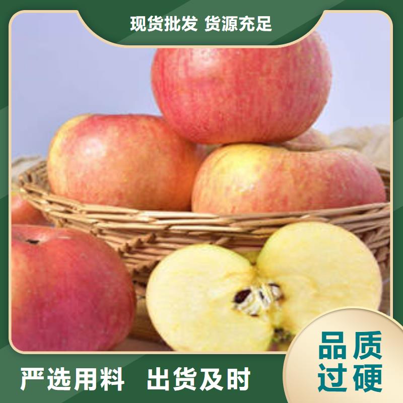 紅富士蘋果嘎啦蘋果現貨批發