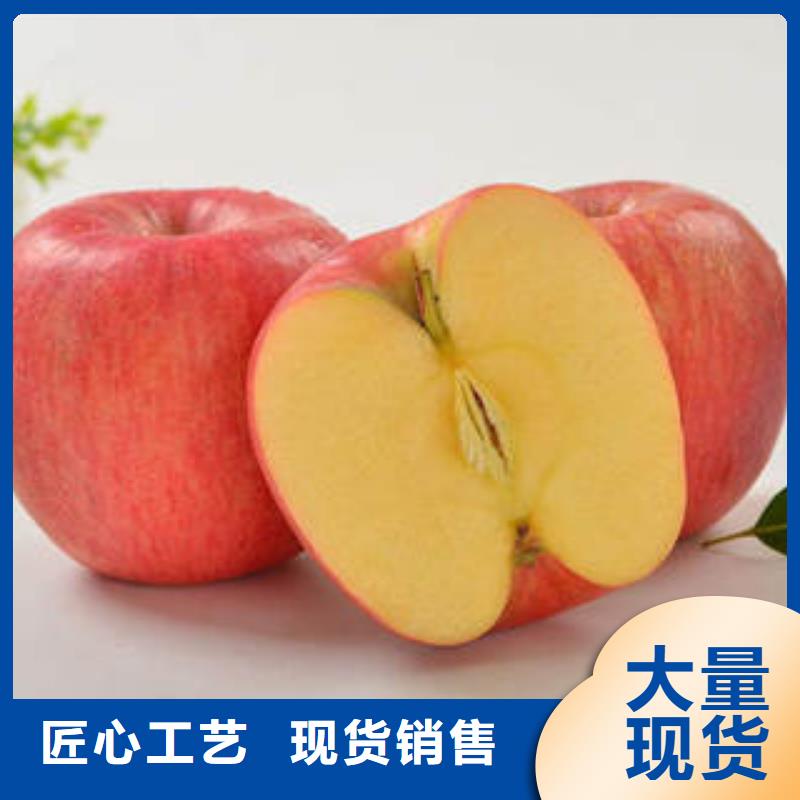 紅富士蘋果嘎啦蘋果廠家售后完善