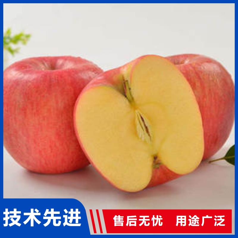紅富士蘋果快捷物流