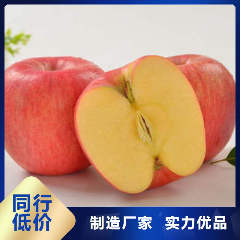 苹果批发视频-苹果批发-景才农产品专业社(长治市分公司)服务区域黎城|潞城|运城|太原|晋城|忻州|朔州|临汾|阳泉