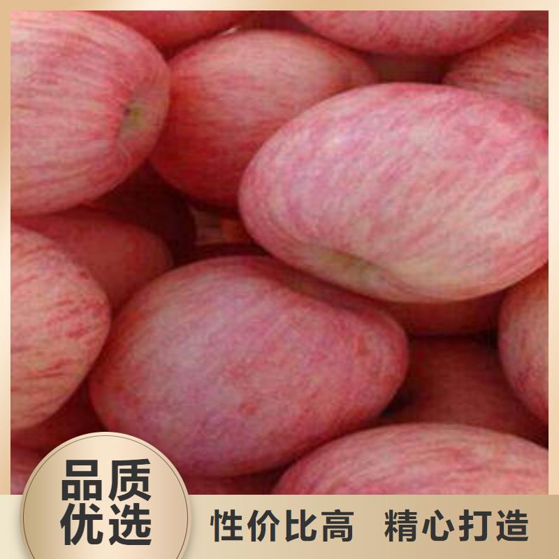 苹果批发视频-苹果批发-景才农产品专业社(长治市分公司)服务区域黎城|潞城|运城|太原|晋城|忻州|朔州|临汾|阳泉