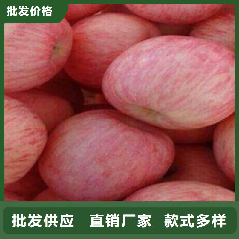 【紅富士蘋果】嘎啦蘋果多種規(guī)格庫存充足