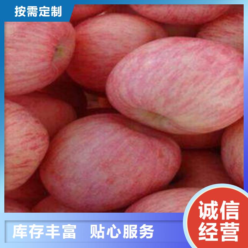【紅富士蘋果紅富士蘋果批發(fā)貨源報價】