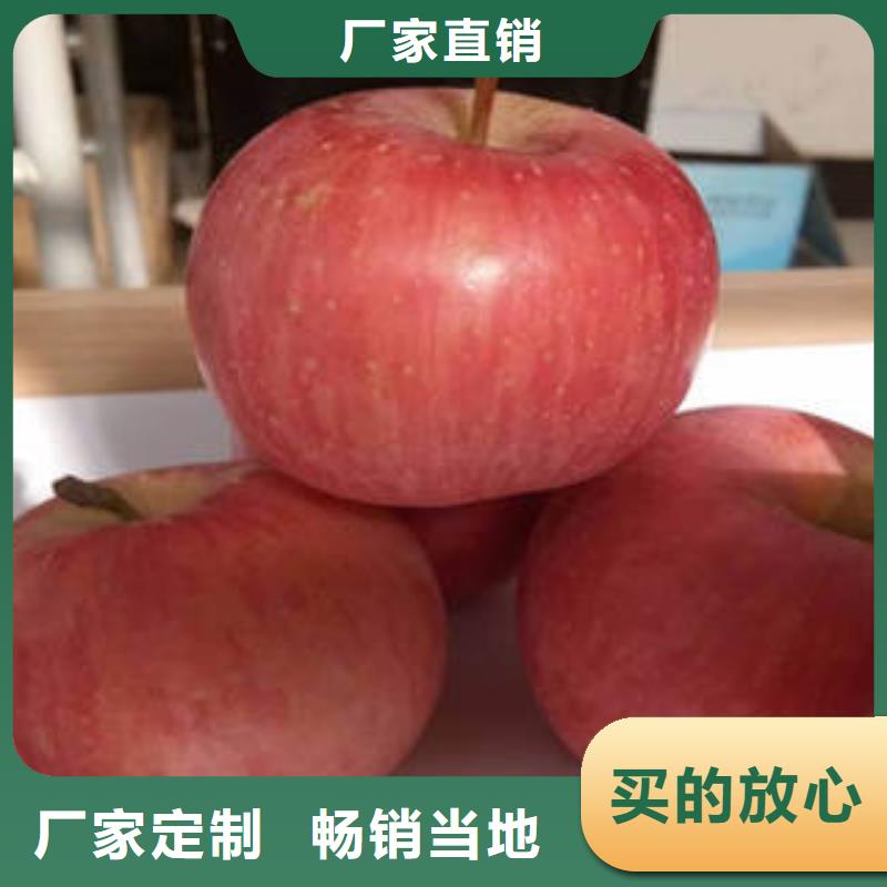 红富士苹果_苹果批发重信誉厂家