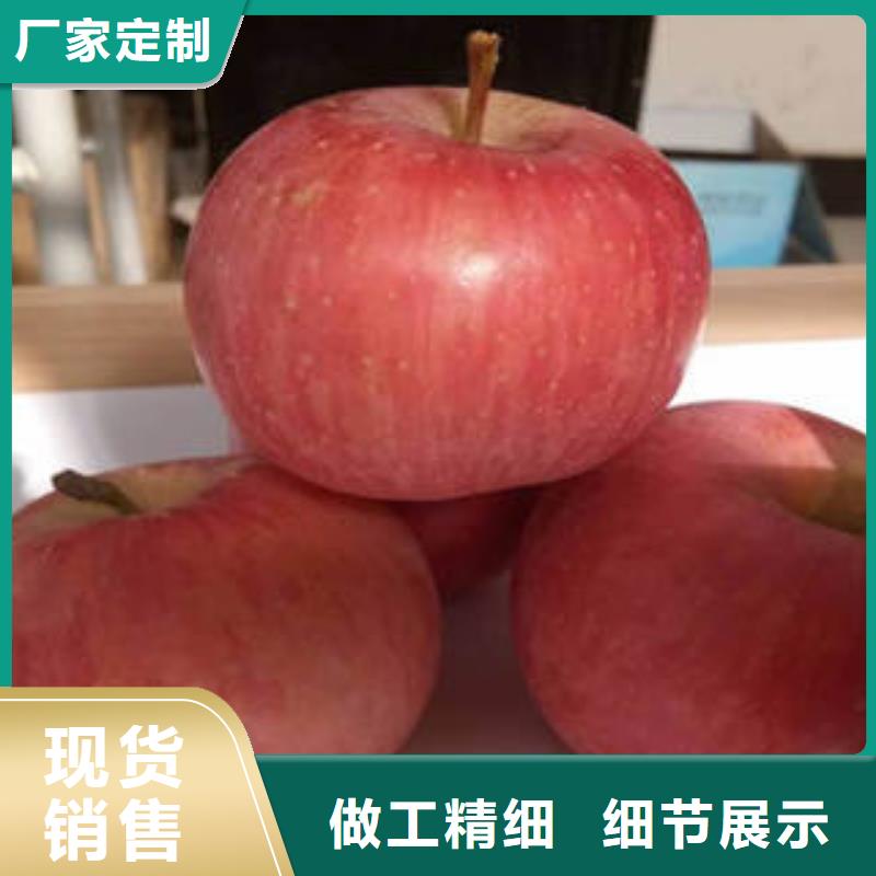 紅富士蘋果嘎啦蘋果現貨批發