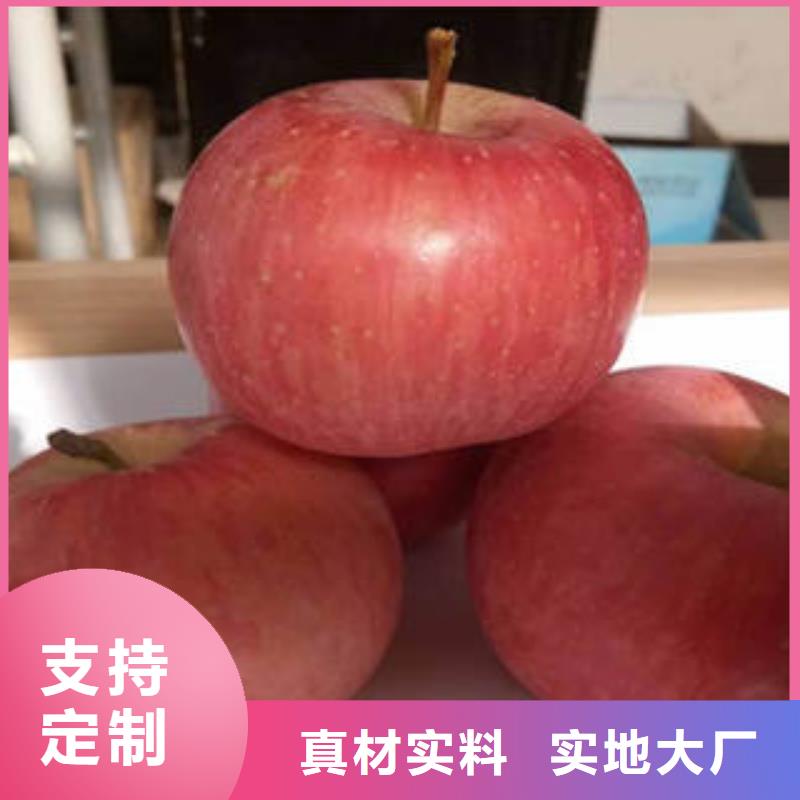 紅富士蘋果-紅富士蘋果產地放心得選擇