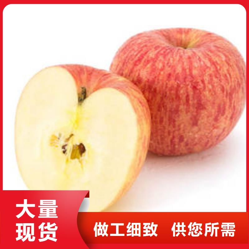 红富士苹果苹果种植基地用心做品质