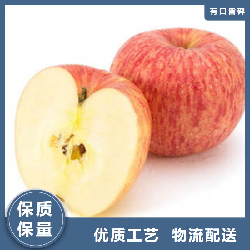 红富士苹果,苹果种植基地生产安装