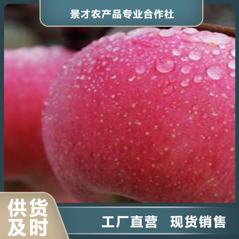 苹果批发视频-苹果批发-景才农产品专业社(长治市分公司)服务区域黎城|潞城|运城|太原|晋城|忻州|朔州|临汾|阳泉