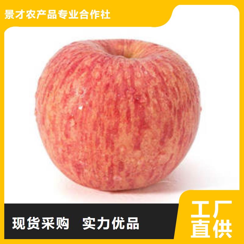 苹果批发视频-金平|南澳|韶关|揭阳|湛江|东莞|云浮|茂名景才苹果批发_ 景才农产品专业社(汕头市分公司)
