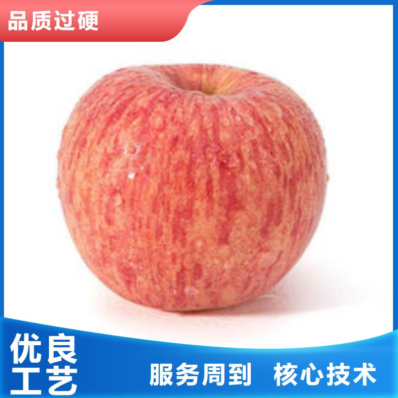 紅富士蘋果_蘋果種植基地嚴格把控質量