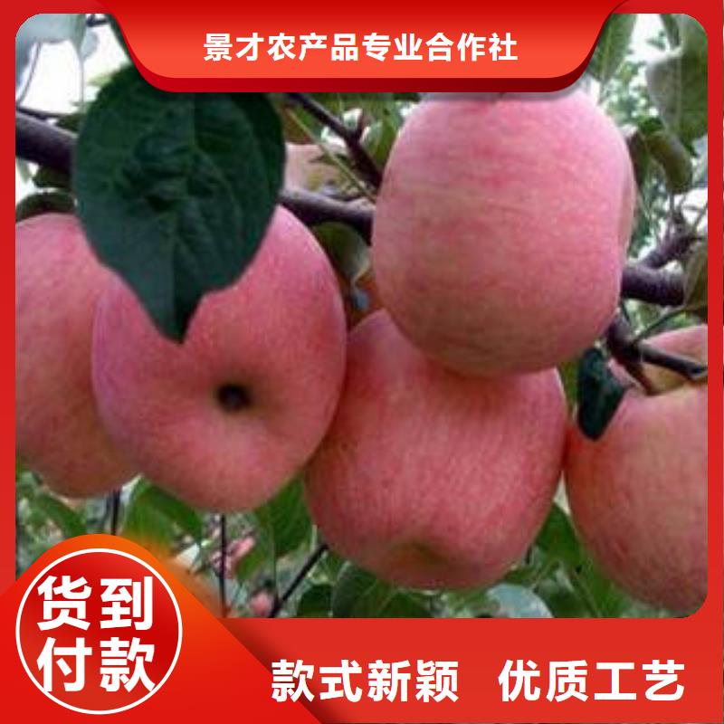 苹果批发视频-苹果批发|山西省长治市|黎城|武乡|晋中|阳泉|大同|晋城|太原|临汾