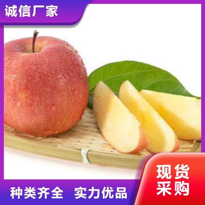 紅富士蘋果嚴格把控質量