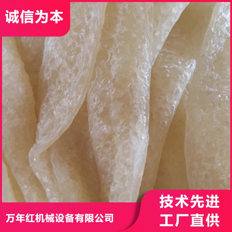 牛筋面机凉皮机规格齐全实力厂家