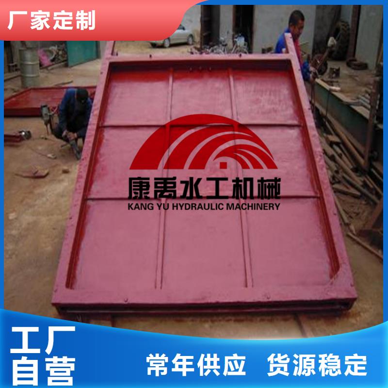 【 闸门实力厂商】|-铸铁闸门康禹水工机械厂(遵义市分公司)