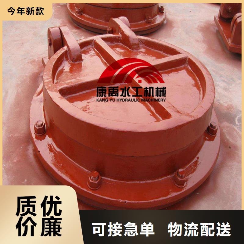 (康禹)【 闸门实力厂商】-