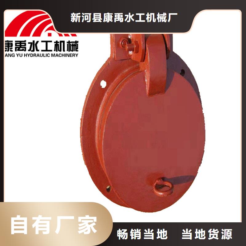 【 闸门实力厂商】|-铸铁闸门康禹水工机械厂(遵义市分公司)