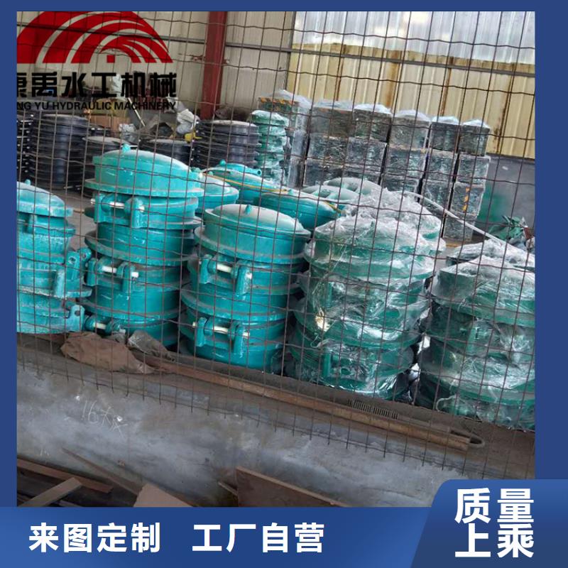 【 闸门实力厂商】|-铸铁闸门康禹水工机械厂(遵义市分公司)
