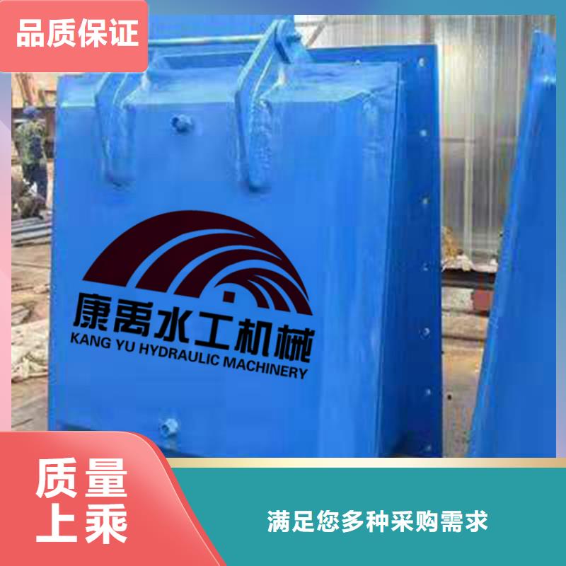 【 闸门实力厂商】|-铸铁闸门康禹水工机械厂(遵义市分公司)