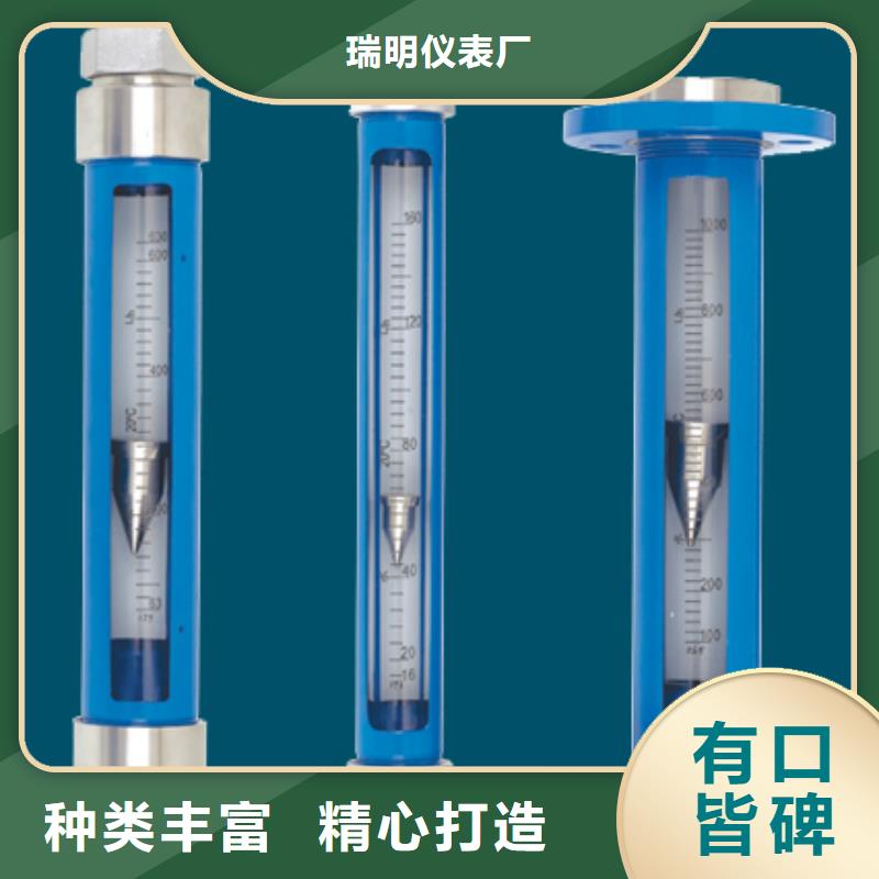 G10转子流量计敢与同行比服务