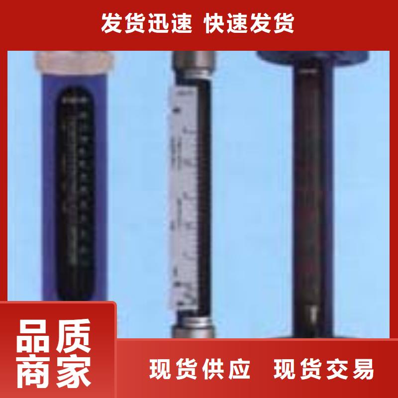 G10转子流量计敢与同行比服务