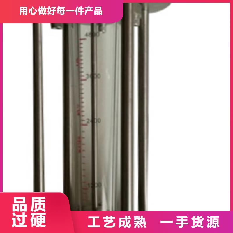 G10转子流量计48小时发货