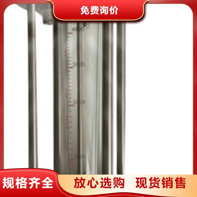 G10氮氣流量計專注生產N年