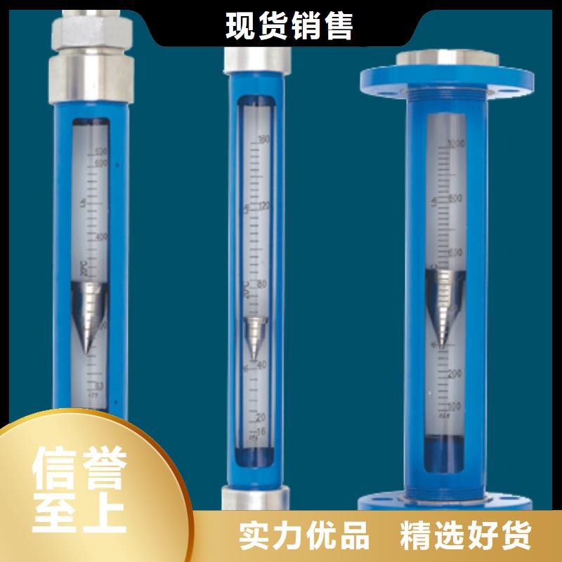 【G10轉(zhuǎn)子流量計(jì)生產(chǎn)廠家】