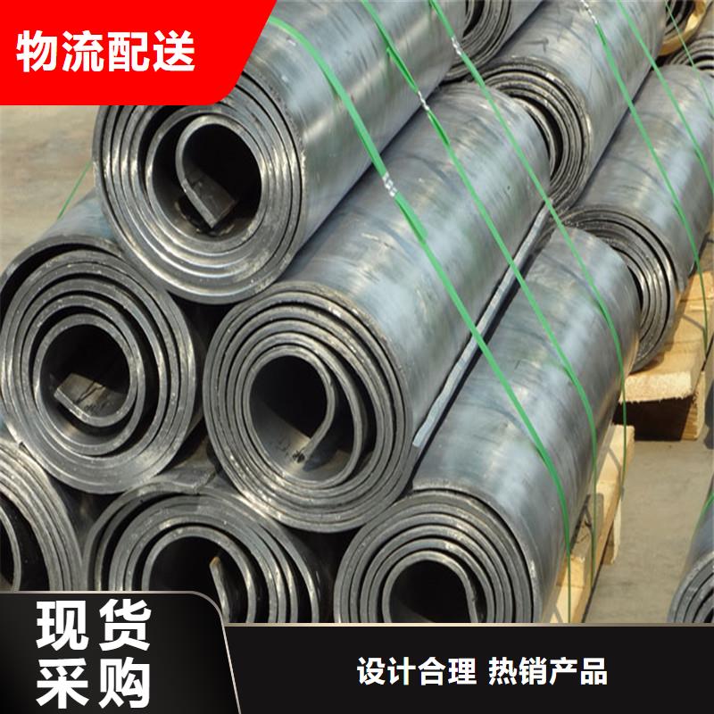 射線防護(hù)鉛門實力工廠