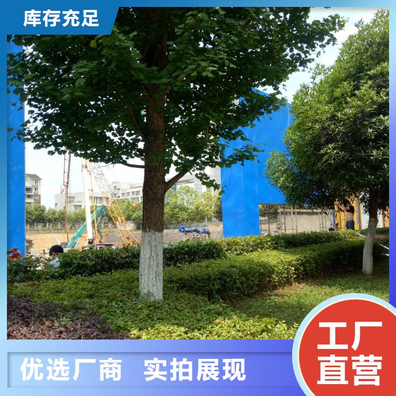 广告素材快速发货