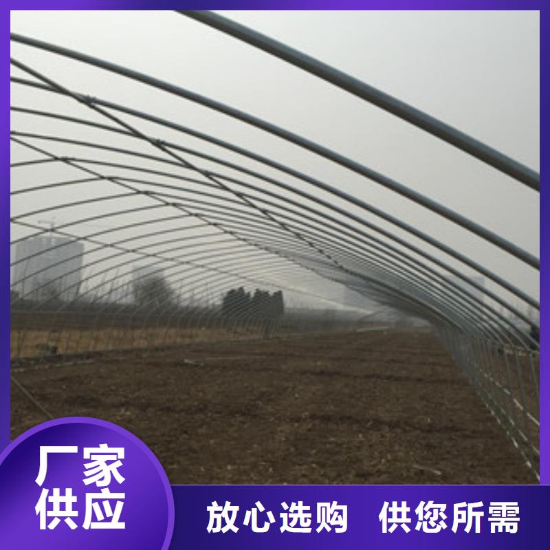 大棚管焊管實力公司