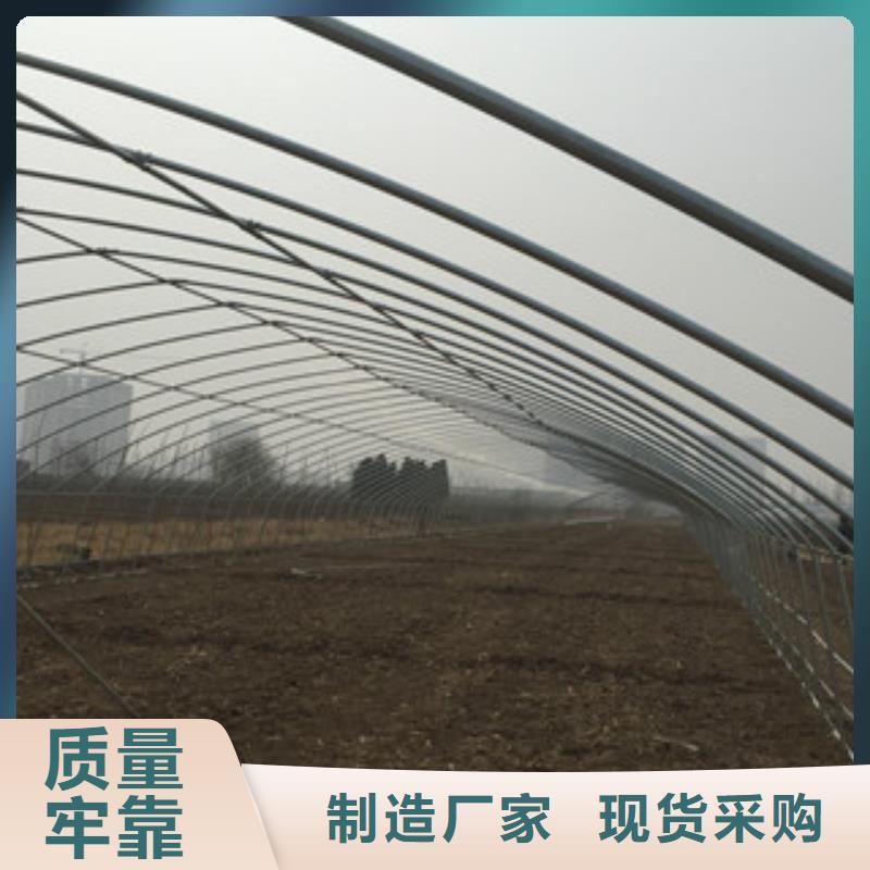 大棚管_H型鋼大庫存無缺貨危機
