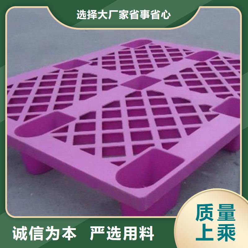 【塑料托盤-塑料托盤廠家專注細(xì)節(jié)專注品質(zhì)】