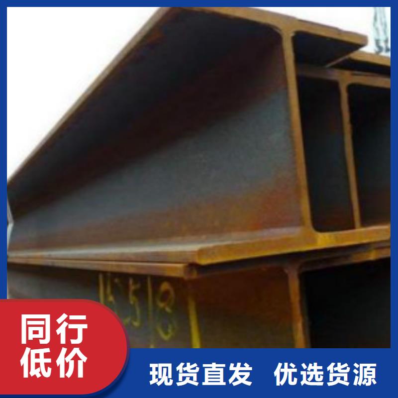 熱軋H型鋼Q355D廠家