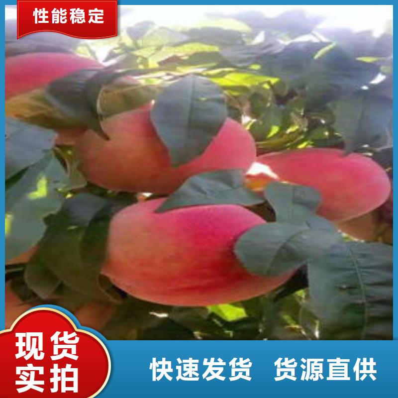 0.5厘米管理方式