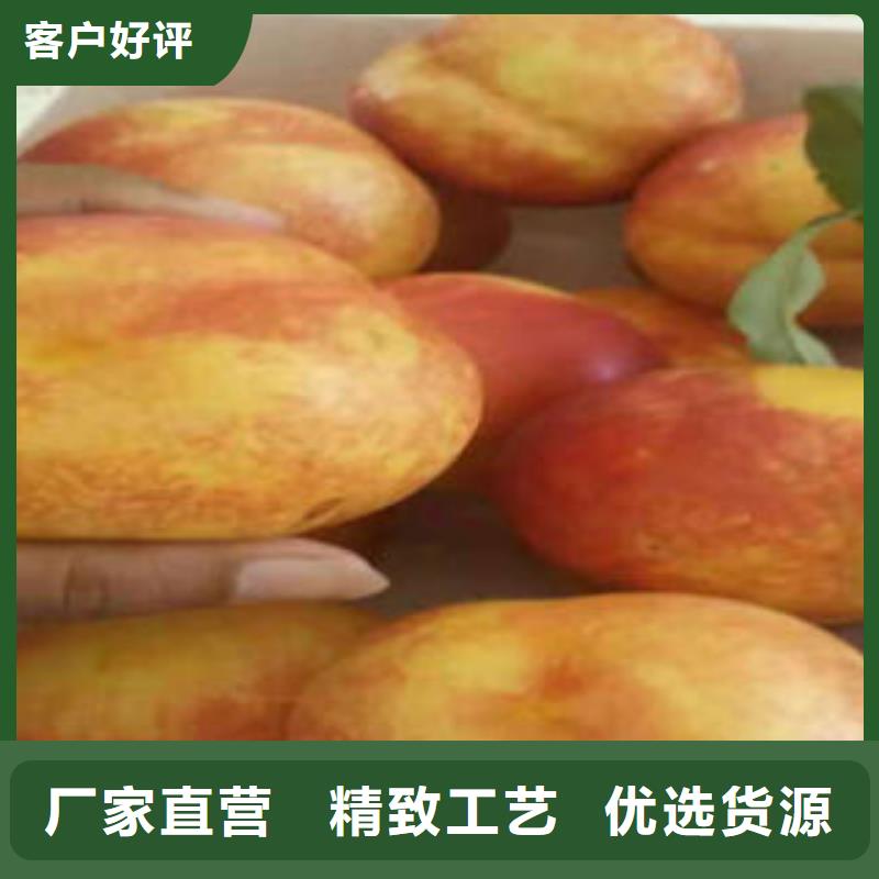 40厘米種植技術