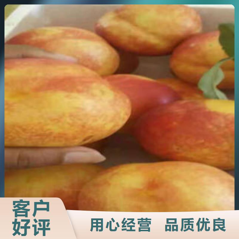 80公分批發基地
